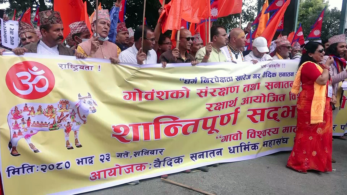 गोवंशको संरक्षण माग गर्दै प्रदर्शन